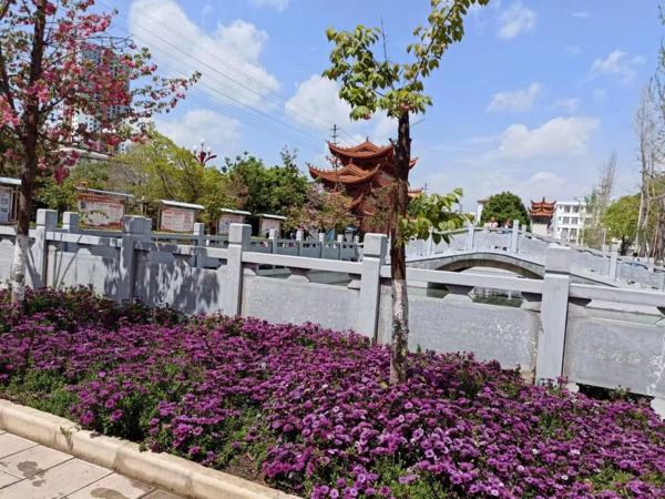 以评价改革推动鹿城小学高质量发展——记楚雄市鹿城小学2023年秋季学期新教师培训